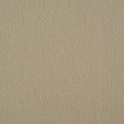 Seashell Exquisite Velvet