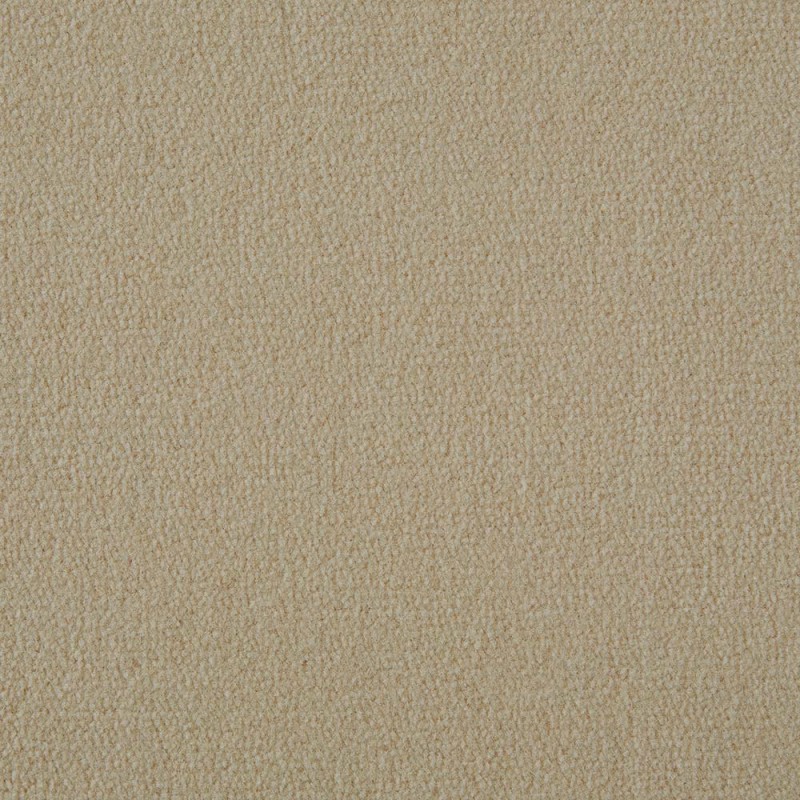 Seashell Exquisite Velvet