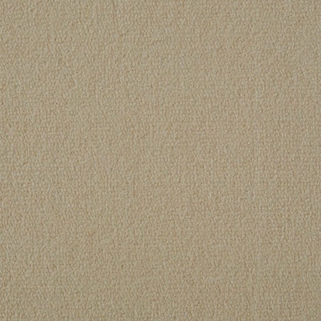 Seashell Exquisite Velvet