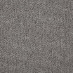 Silver Birch Exquisite Velvet