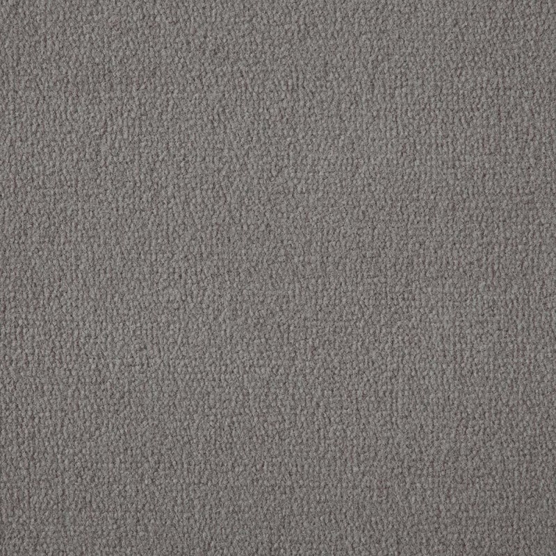 Silver Birch Exquisite Velvet