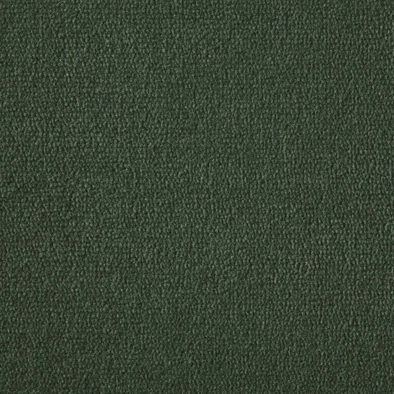 Spruce Exquisite Velvet