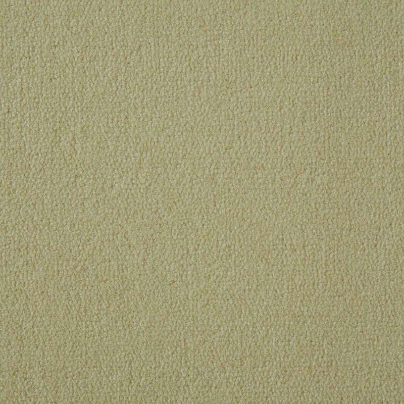 Vanilla Exquisite Velvet