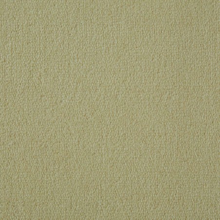 Vanilla Exquisite Velvet