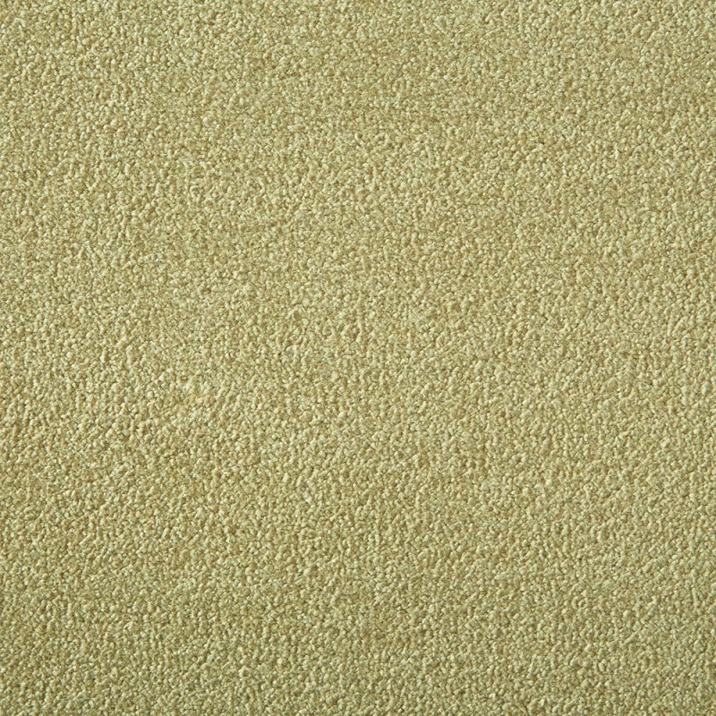 Camel Silken Velvet