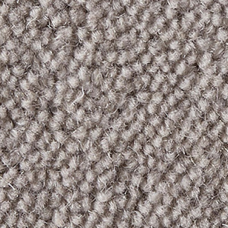 Biscuit Ultima Twist