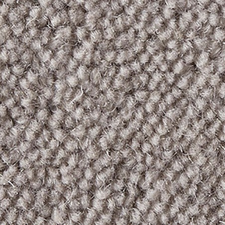 Biscuit Ultima Twist