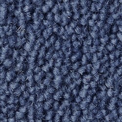 Bluebird Ultima Twist