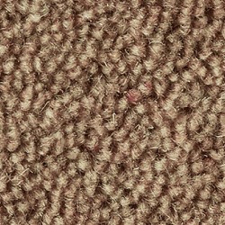 Brandysnap Ultima Twist