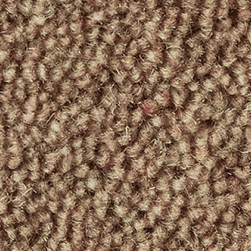 Brandysnap Ultima Twist