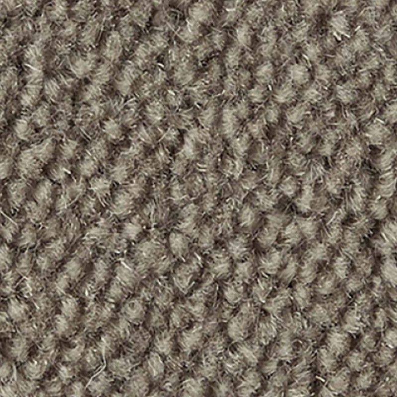 Chicory Ultima Twist