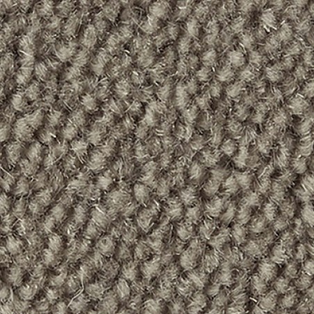 Chicory Ultima Twist