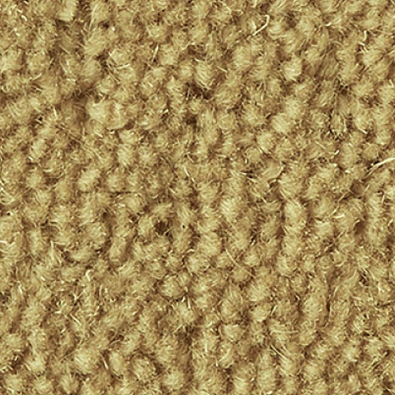 Cornsilk Ultima Twist