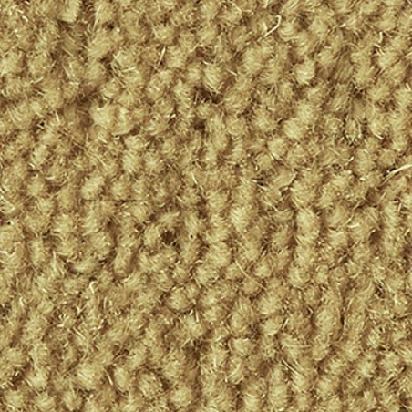 Cornsilk Ultima Twist