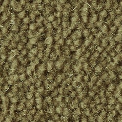 Eucalyptus Ultima Twist