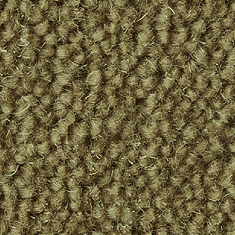 Eucalyptus Ultima Twist