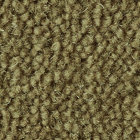 Eucalyptus Ultima Twist