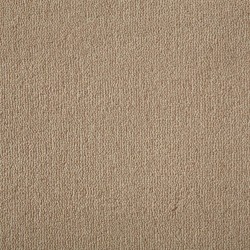 Mango Westend Velvet