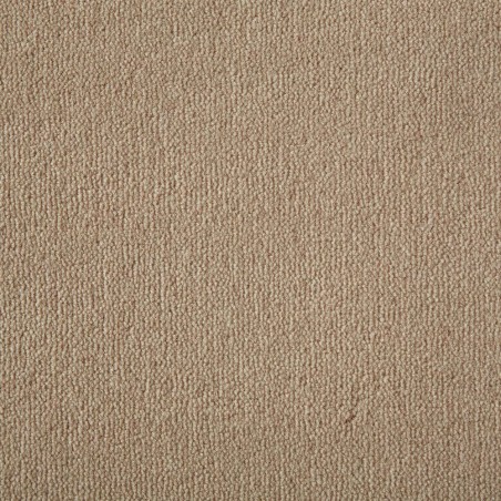 Mango Westend Velvet