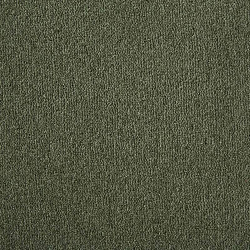 Asparagus Westend Velvet