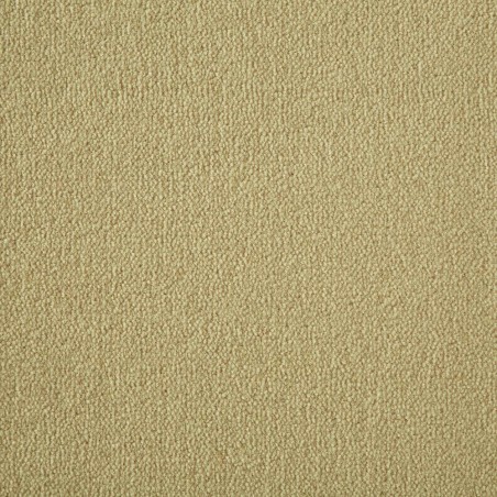 Cider Westend Velvet