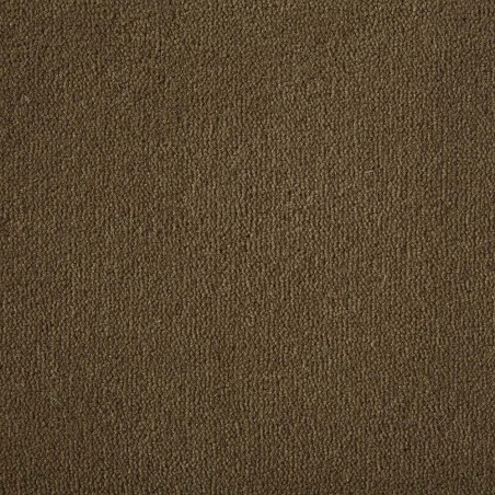 Moccasin Westend Velvet