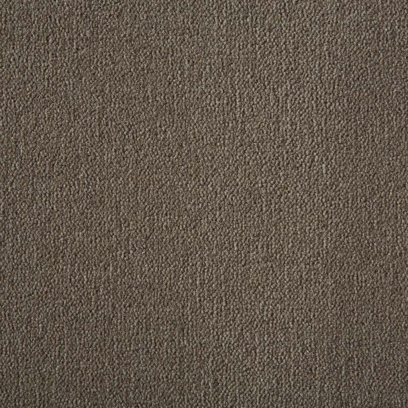 Praline Westend Velvet