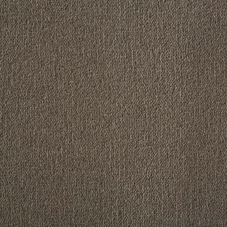 Praline Westend Velvet