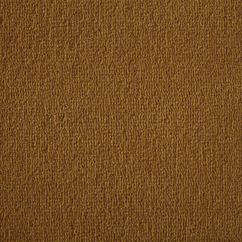 Pumpkin Westend Velvet