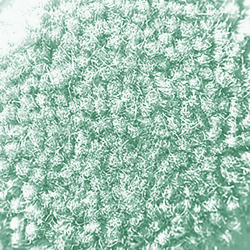 White Mint Ultima Twist