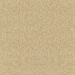 Bell Twist  French Champagne