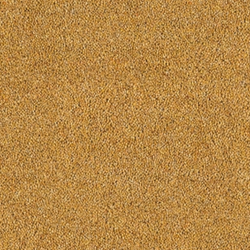 Bell Twist  Japanese Sun