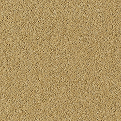 Bell Twist  Kalahari Desert