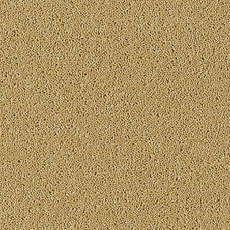 Bell Twist  Kalahari Desert