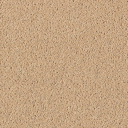 Bell Twist  Moccasin