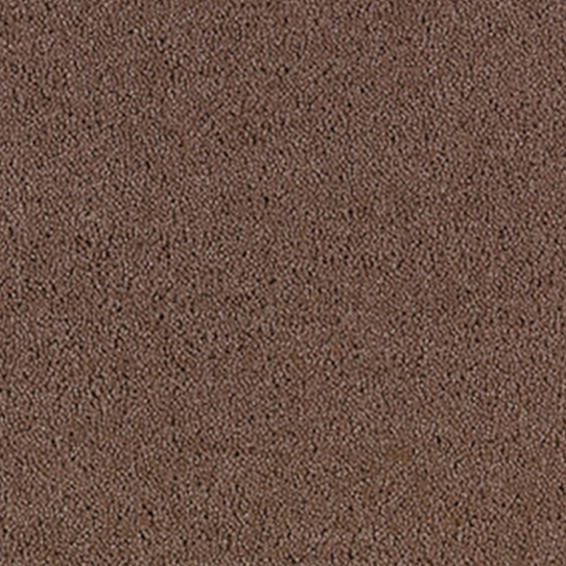 Bell Twist  Mushroom