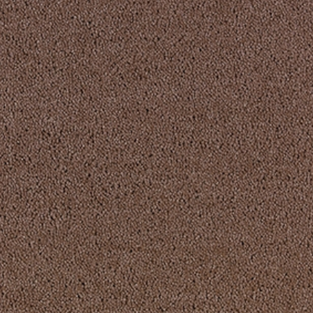 Bell Twist  Mushroom