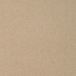 The Velvet Cordelia Beige